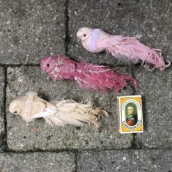 Alternative view of Smuk perlefarvet fugl med lang hale