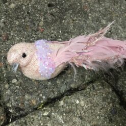 Smuk rosa fugl med lang hale