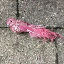 Smuk burgundy fugl med lang hale