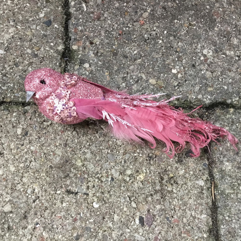 Smuk burgundy fugl med lang hale