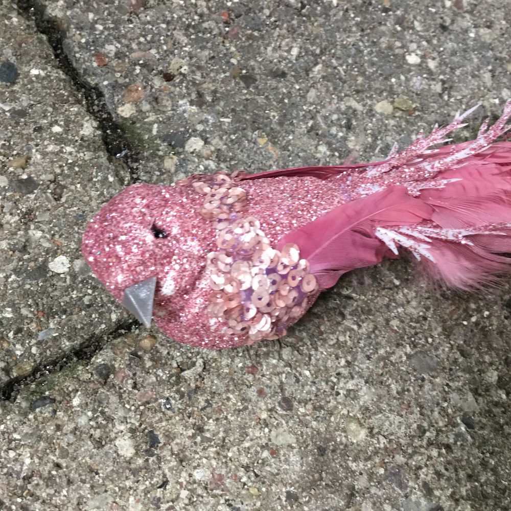 Smuk burgundy fugl med lang hale - Billede 5