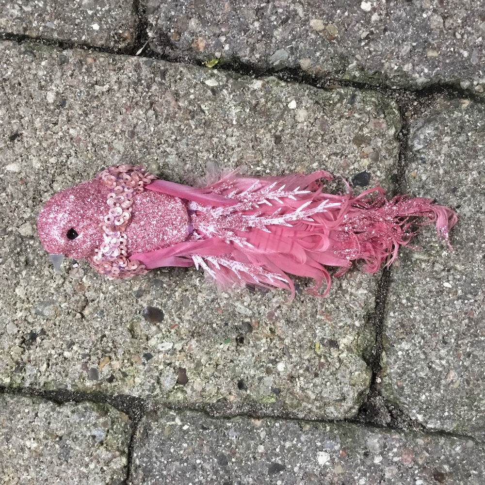 Smuk burgundy fugl med lang hale - Billede 7