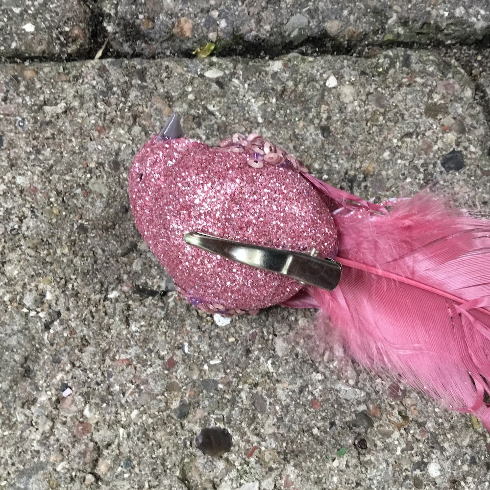 Smuk burgundy fugl med lang hale - Billede 8