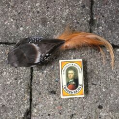 Alternative view of Gyldenbrun langhalet plettet fugl