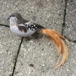 Gyldenbrun langhalet plettet fugl