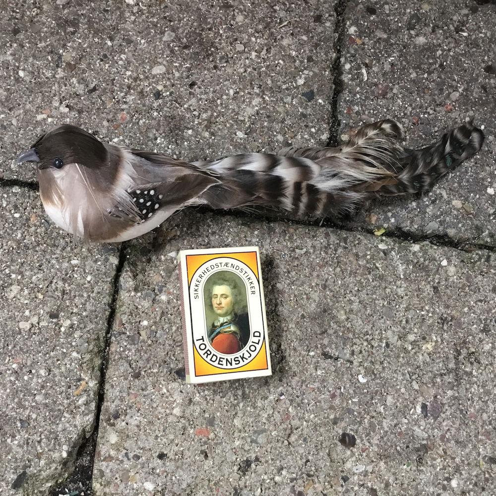 Brun plettet fugl med lang hale - Billede 2