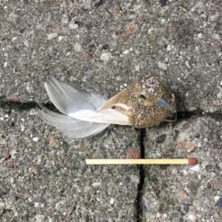 Mini guld fugl på clips