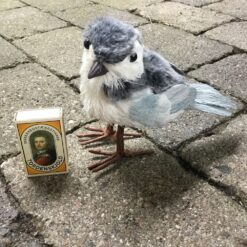 Alternative view of Smuk lyseblå fugl med blød pels