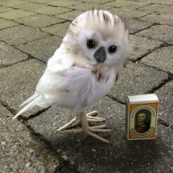 Alternative view of Hvid ugle med beige top