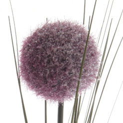 Naturtro lilla allium gren 