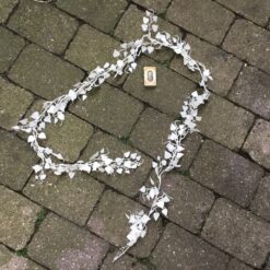 Lang frostet hvid hjertebladsranke