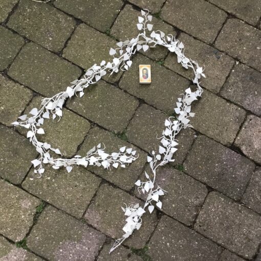 Lang frostet hvid hjertebladsranke