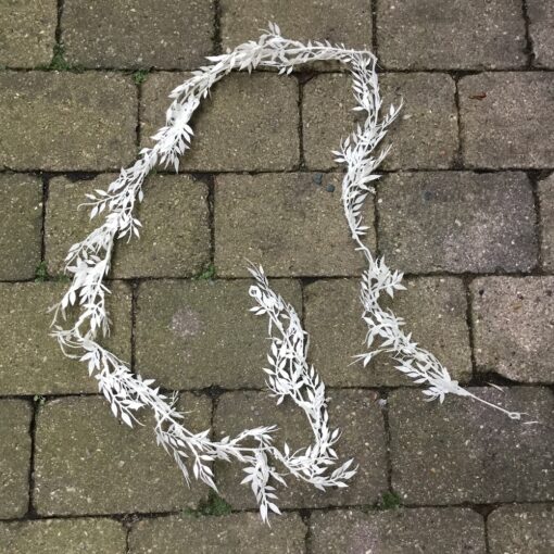Lang frostet hvid bladranke