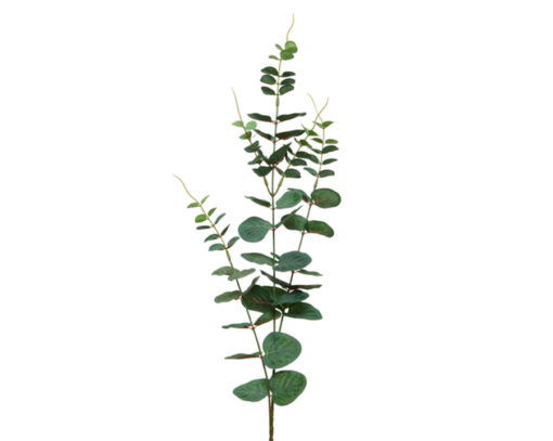Naturtro eucalyptus enkel og fin