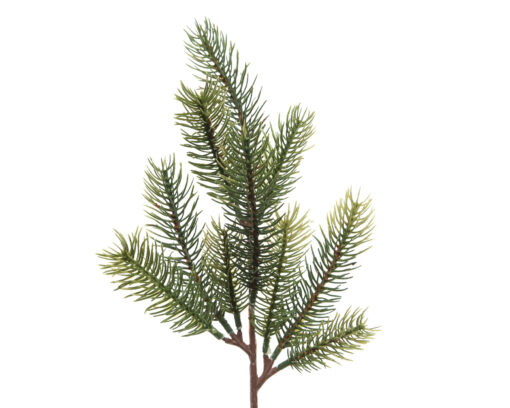 Naturtro grangren til dekoration