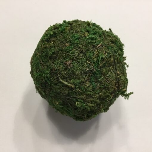 10 x grønne medium moskugler