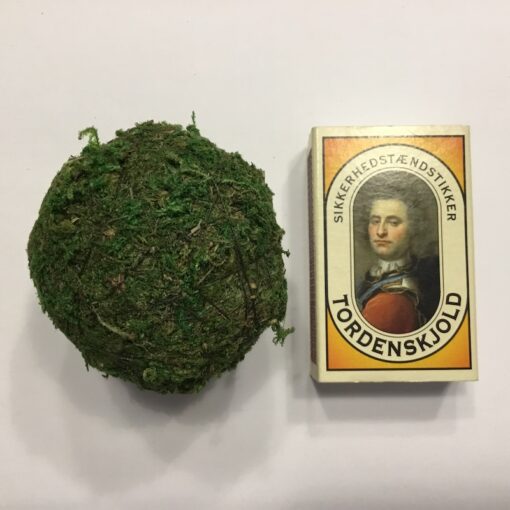 10 x grønne små moskugler