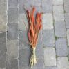 Tørrede blomster i orange farve