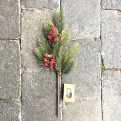 Alternative view of Naturtro grangren med bær