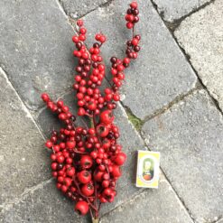 Alternative view of Rød ilex gren med naturtro bær