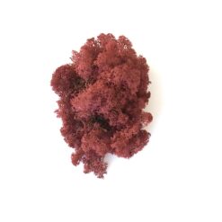 Mørk bordeaux præserveret mos 50g