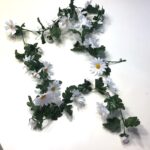 Marguerit ranke i hvid farve