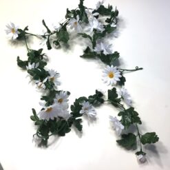 Marguerit ranke i hvid farve