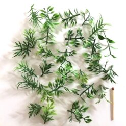 Alternative view of Grønne dekorative vandplanter