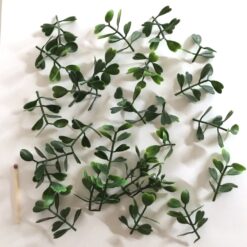 Alternative view of Dekorative grønne vand planter