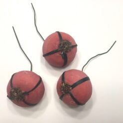 Dekorative rosa ovale bær