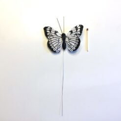 Alternative view of Stor hvid sort sommerfugl