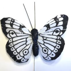 Stor hvid sort sommerfugl