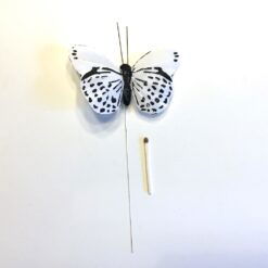 Alternative view of Sort hvid prikket sommerfugl