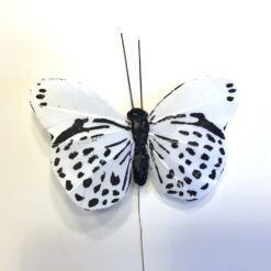 Sort hvid prikket sommerfugl 