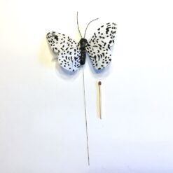 Alternative view of Plettet sort hvid sommerfugl