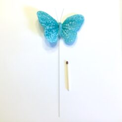 Alternative view of Stor mønstret turkis sommerfugl
