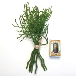 Alternative view of Kunstig grøn vand plante