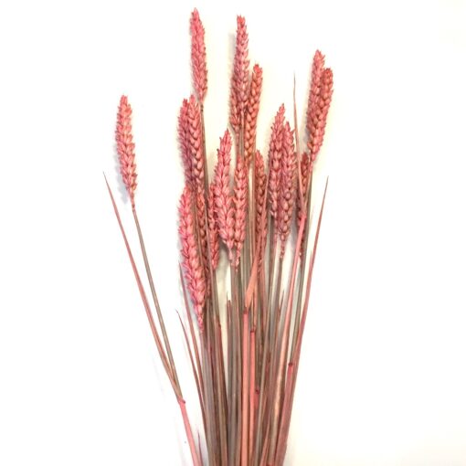 Tørrede rosa hvede buket