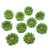 Kunstige grønne marguerit blomsterhoveder