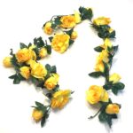 Gul rosen ranke med 24 hoveder
