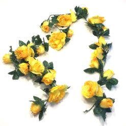 Gul rosen ranke med 24 hoveder