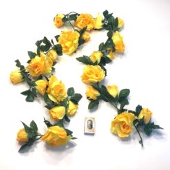 Alternative view of Gul rosen ranke med 24 hoveder