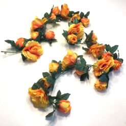 Orange rosen ranke med 24 hoveder