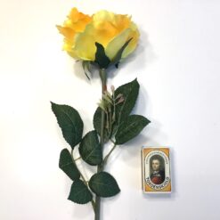 Alternative view of Gul høj dekorativ rose