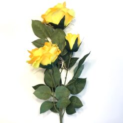 Gul rose med 3 hoveder