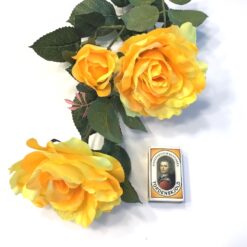 Alternative view of Gul rose med 3 hoveder