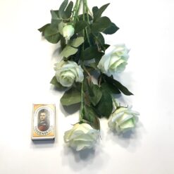 Alternative view of Høj dekorativ råhvid rose