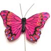 Cerise pink sommerfugl med kontrastfarver