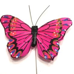 Cerise pink sommerfugl med kontrastfarver