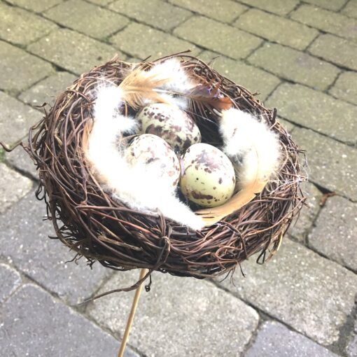 Stor fuglerede med 3 æg